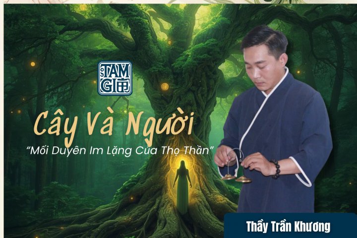 Cây Và Người: Mối Duyên Im Lặng Của Thọ Thần